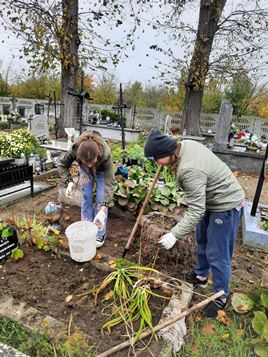 Obrazy news�w: 1161-3.jpg