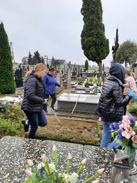 Obrazy news�w: 1162-4.jpg