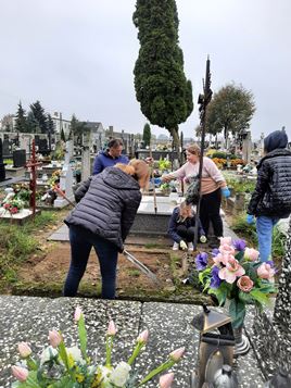 Obrazy news�w: 1163-5.jpg